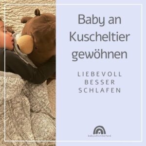 Baby an Kuscheltier gewöhnen